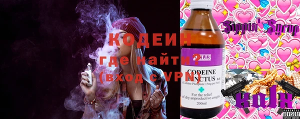 соль ск Алапаевск