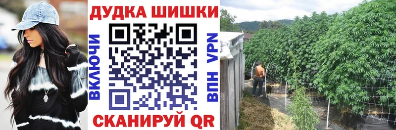 продажа наркотиков  Билибино  Шишки марихуана план 